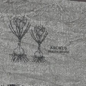 2 krokus 300x300