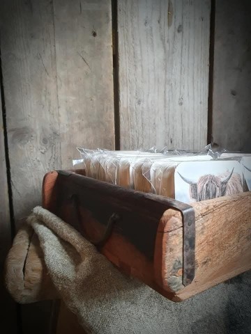 Fbimg1741696102237 0