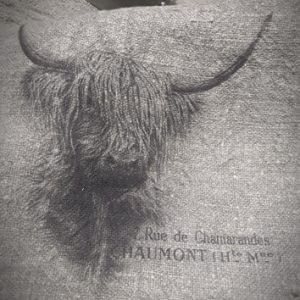 Hooglander 300x300 1