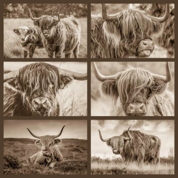 Incollage20250520170706918