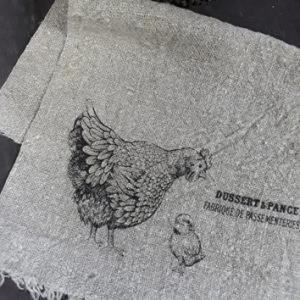 Kip met kuiken 300x300