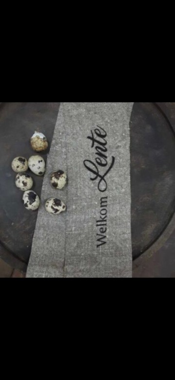 Screenshot20250311163917gallery