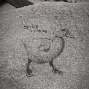 Spring is coming 300x300